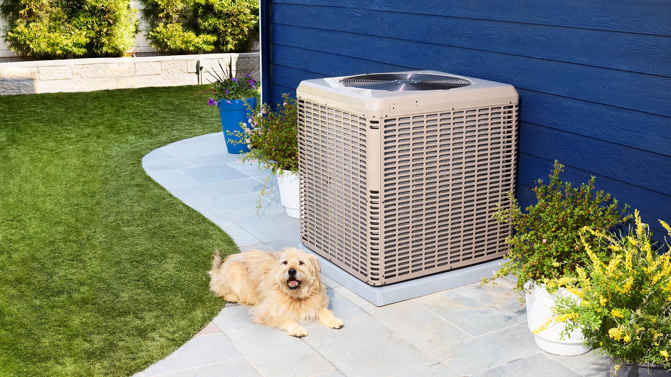 Dog in front of air conditioner