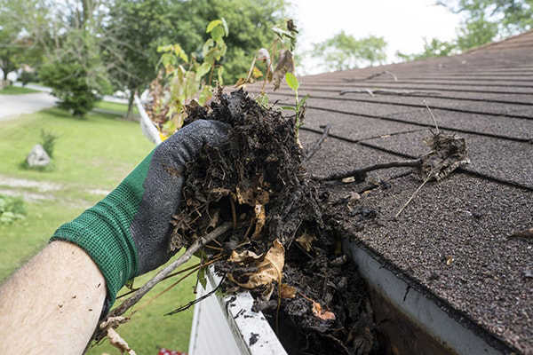 Gutters being cleaned