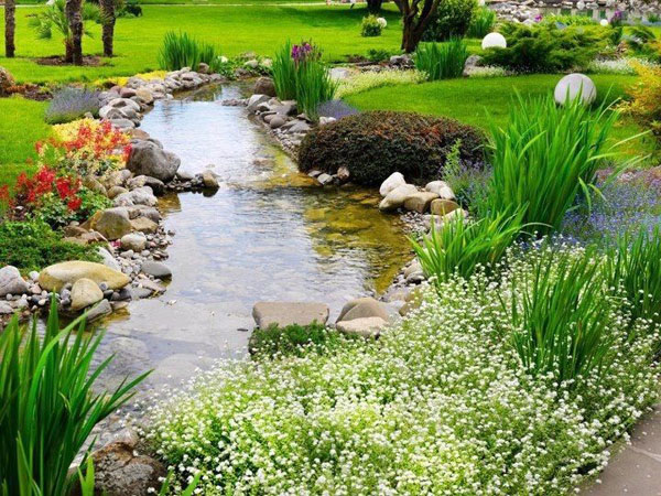 A pond in a garden