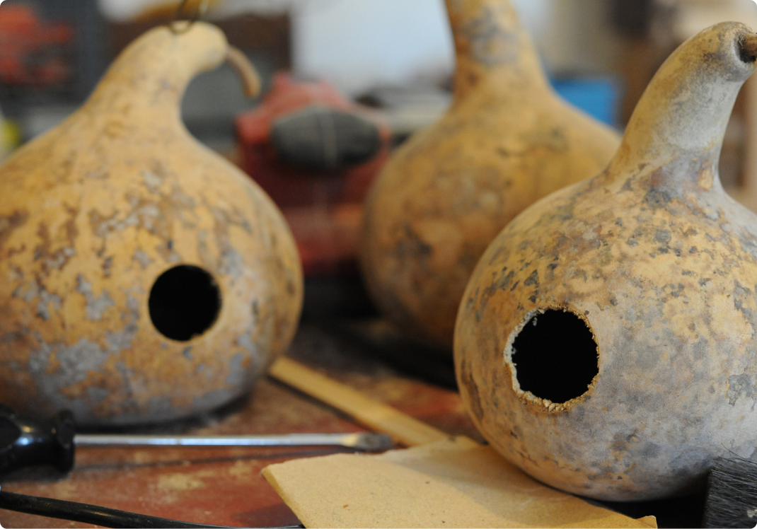 Decorative gourd birdhouses