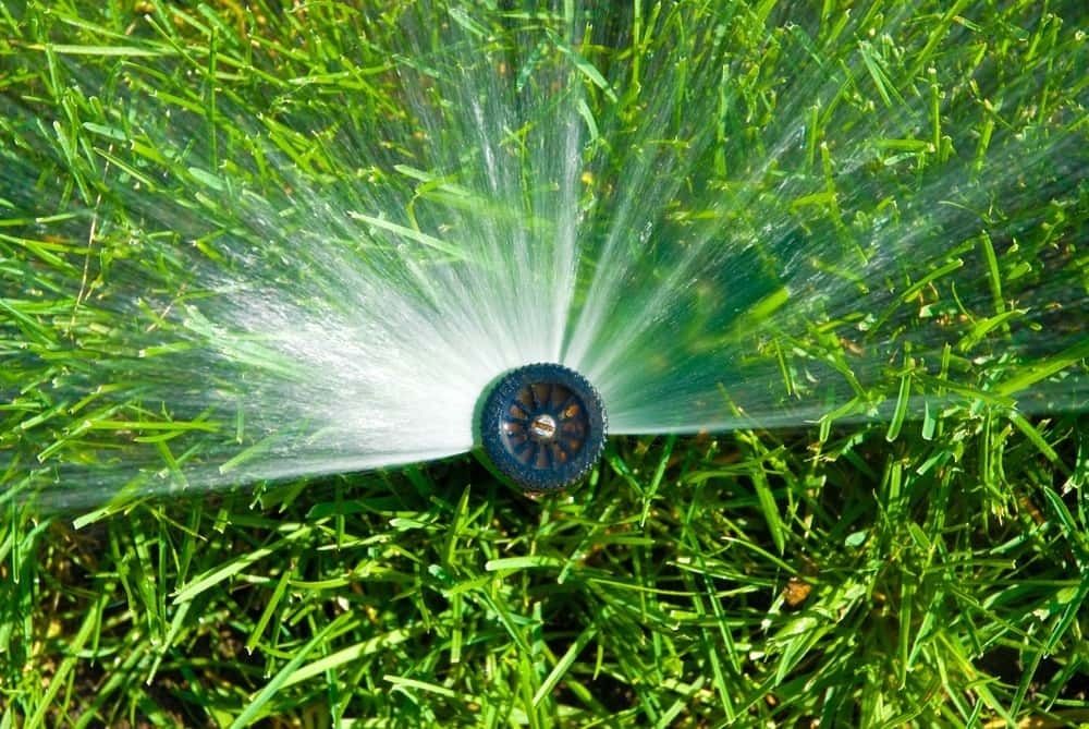 water sprinkler