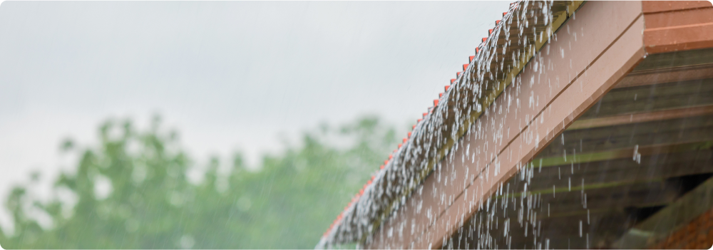 A rainy window 