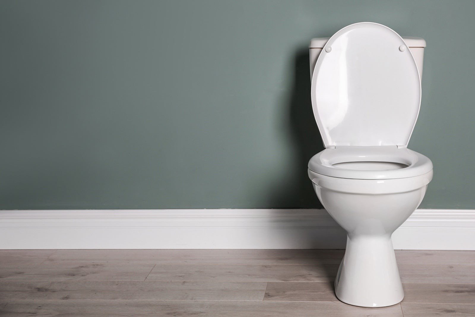 A clean toilet in a modern bathroom