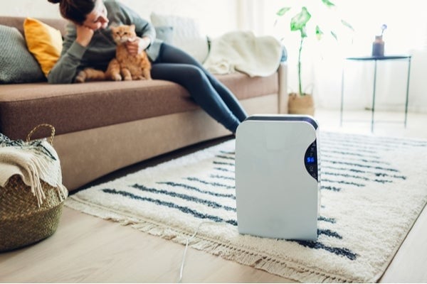 A person sitting in living room with dehumidifier