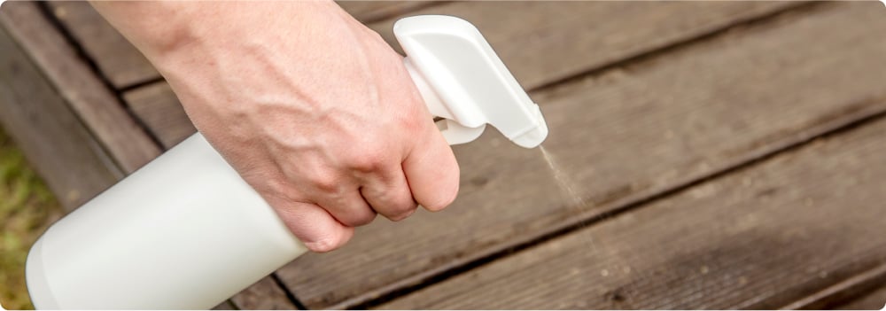 bug spray in a bottle