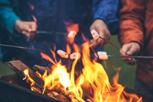 roasting marshmallows over bonfire