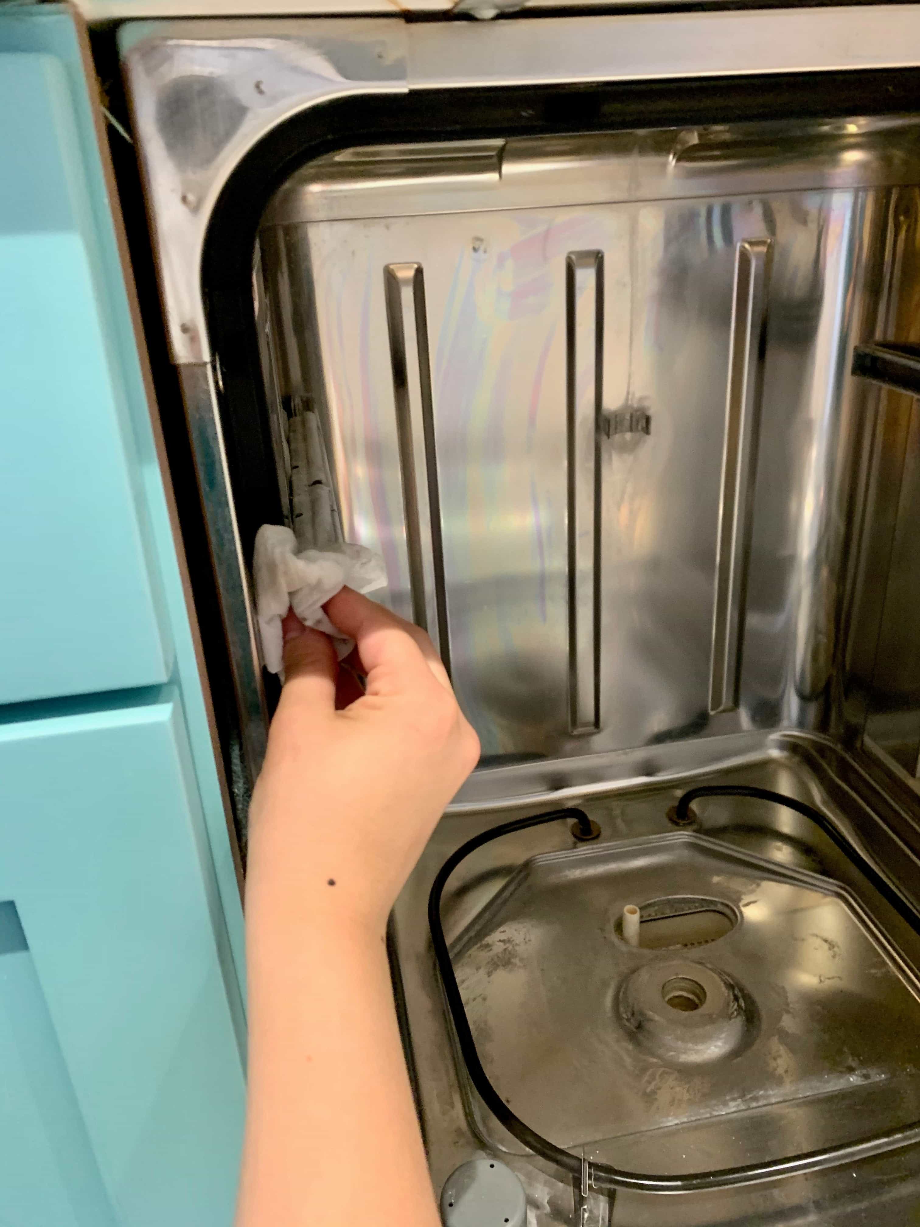 cleaning dishwasher door seal