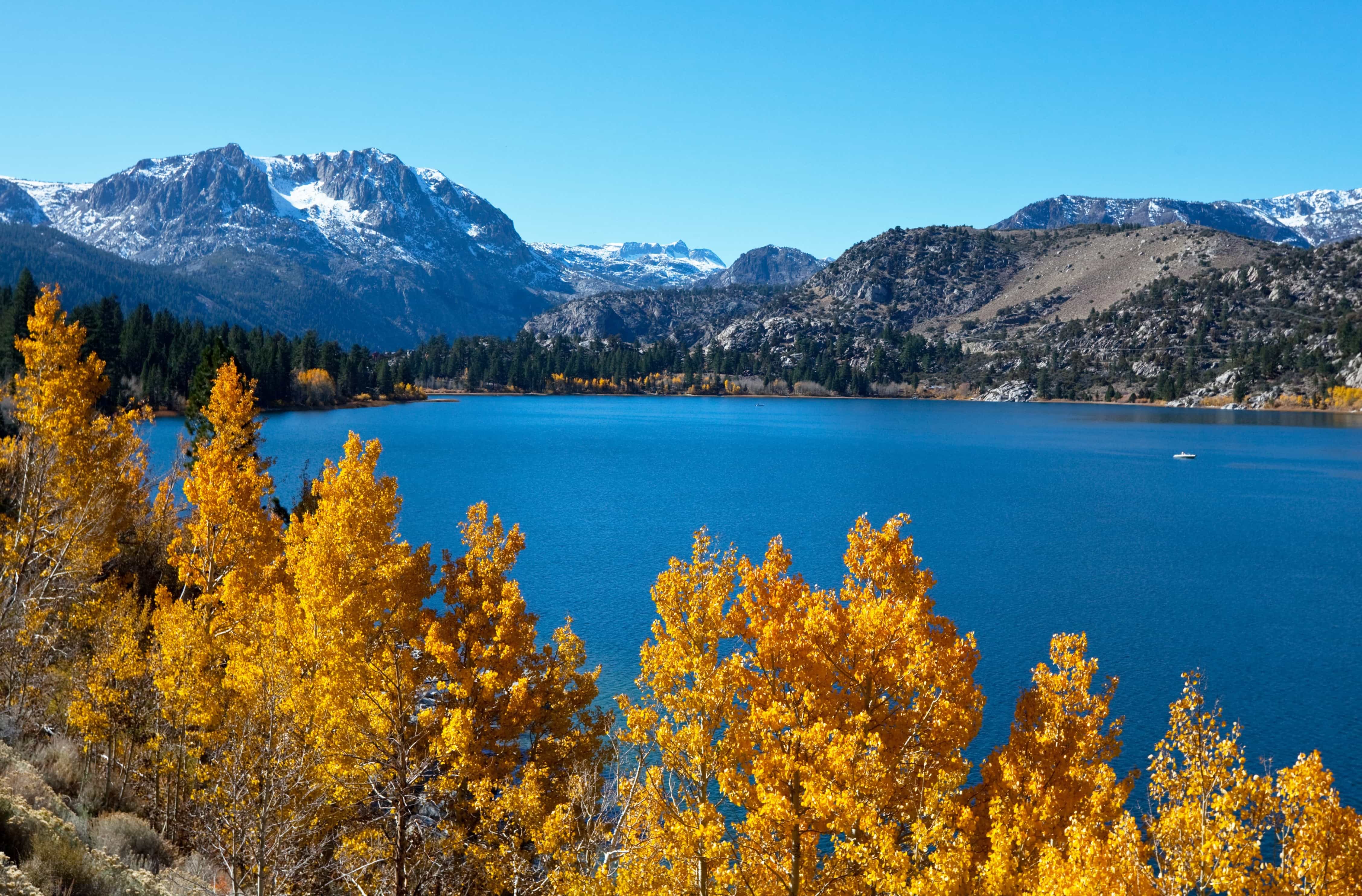 mammoth lakes ca