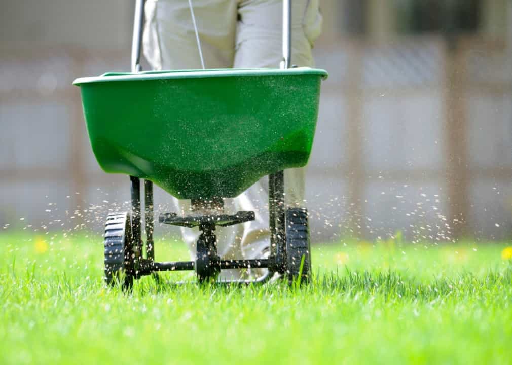 fertilizing lawn