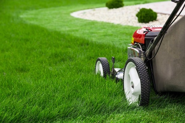 mowing the lawn