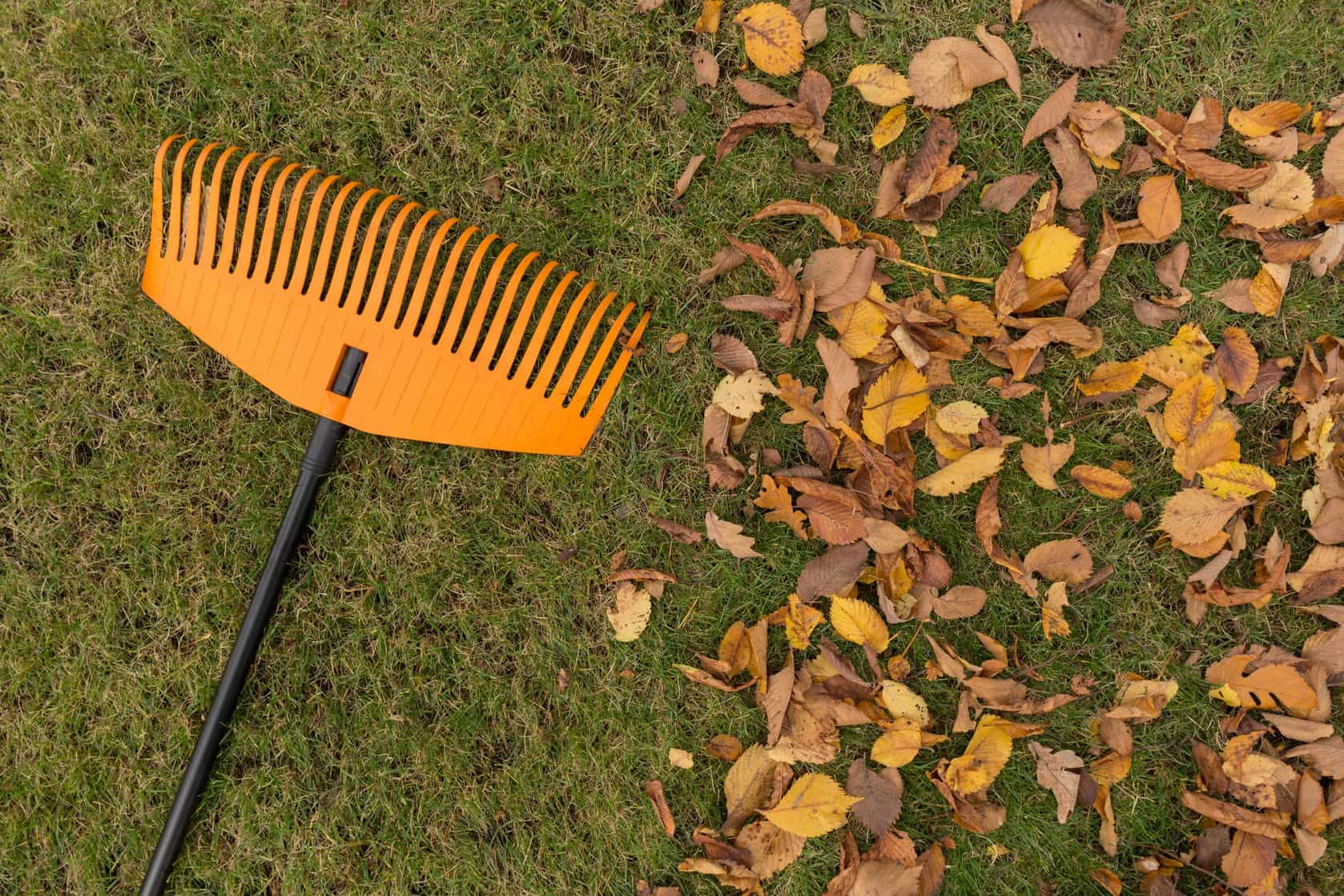 lawn rake