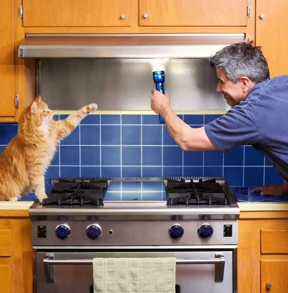 House cat assisting with kitchen exhaust fan repair
